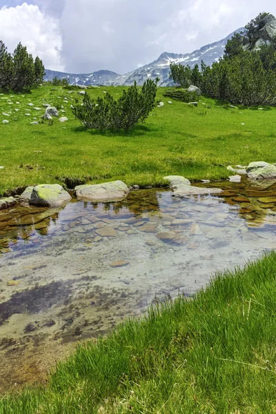 Amazing view of green hills and mountain river in Pirin Mountain — Stock Photo, Image