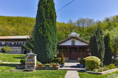 Kilisede Temski Manastırı St George, Sırbistan