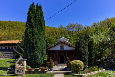 Kilisede Temski Manastırı St George, Sırbistan