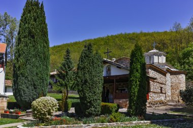 Bahar bakış Temski Manastırı St George, Sırbistan
