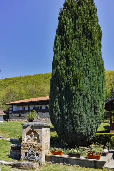 Veduta panoramica del monastero Temski San Giorgio, Repubblica di Serbia — Foto Stock
