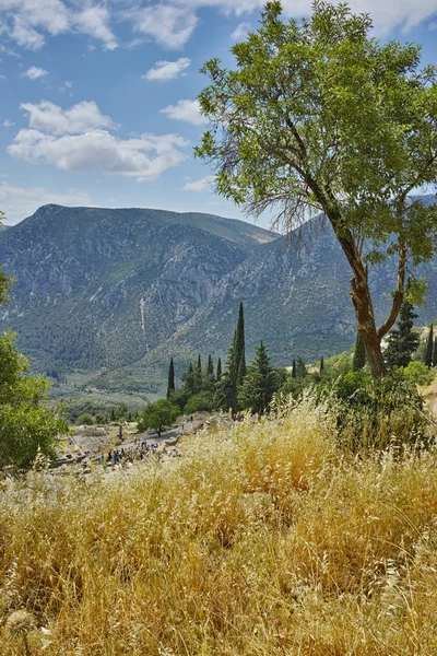 Vista panorámica del sitio arqueológico griego antiguo de Delfos — Foto de Stock