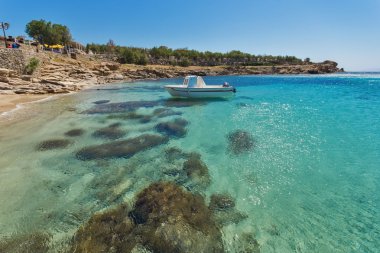 Temiz sular Paranga Beach of Mykonos Adası, Cyclades