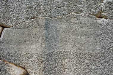 Ağaç ve Delphi antik Yunan sit alanı içinde sarı çim