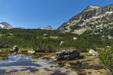 Dzhangal tepe ve Banski gölleri, Pirin Dağı