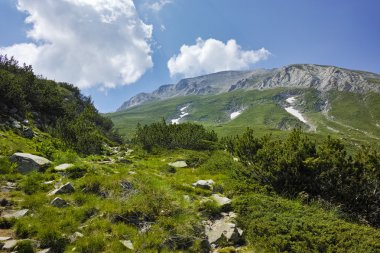 Pirin Dağı ve yolun Vihren zirve tırmanışı