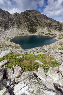 Panoramik Musalenski göller ve sarı flores, Rila Dağı