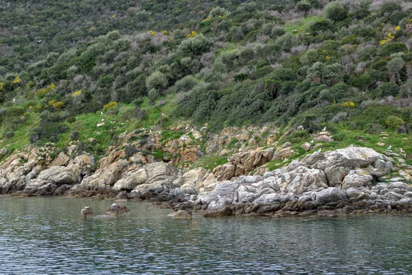 Küste der Insel Mammouliani, athos, chalkidiki, Zentralmakedonien — Stockfoto