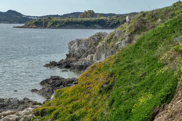 Felsen an der Küste der Insel Mammouliani, athos, chalkidiki, Zentralmakedonien — Stockfoto