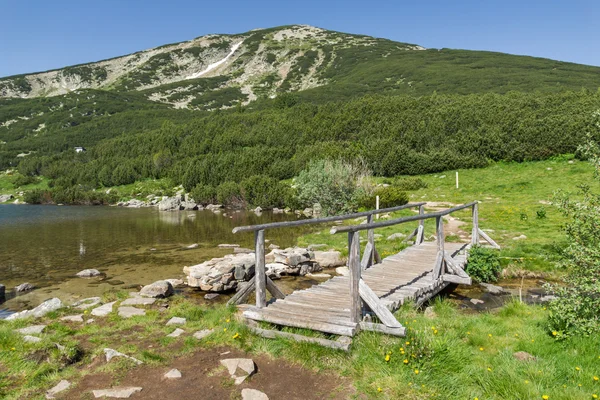 Jembatan kayu di atas sungai di Pirin Mountain dekat danau Bezbog — Stok Foto