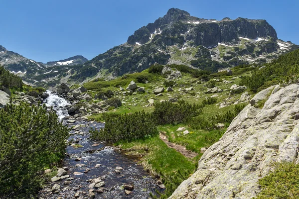 River dan Dzhangal peak, Pirin Mountain — Stok Foto