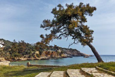 Aliki, Thassos Adası, Sit alanı ağacında ile deniz manzarası Doğu Makedonya ve Trakya