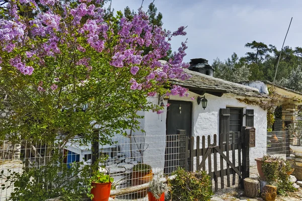 Casa de pedra velha e flores violetas na aldeia de Aliki, ilha de Thassos — Fotografia de Stock
