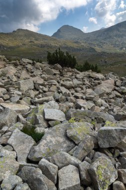 Şaşırtıcı Panorama Spano Kutbu, Pirin Dağı