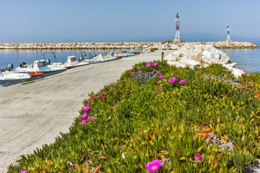 Bahar çiçekleri ve Skala Sotiros, Thassos Adası, iskele ile deniz manzarası Doğu Makedonya ve Trakya