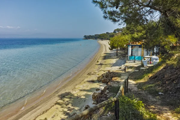 Bomen op het strand met blauw water in Thassos eiland, Oost-Macedonië en Thracië — Stockfoto