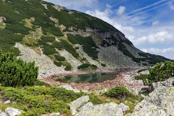 绿色的群山和 Musalenski 湖泊，里拉山 — 图库照片