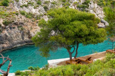 Limnionas bay Beach Zakynthos Adası'nda ağaç