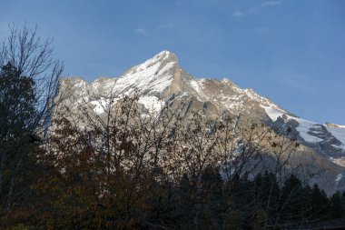 Grindelwald Köyü ve mount Wetterhornin Alps Interlaken şehir yakın: