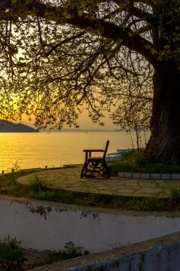 Sunset on embankment and tree in Thassos town, East Macedonia and Thrace clipart