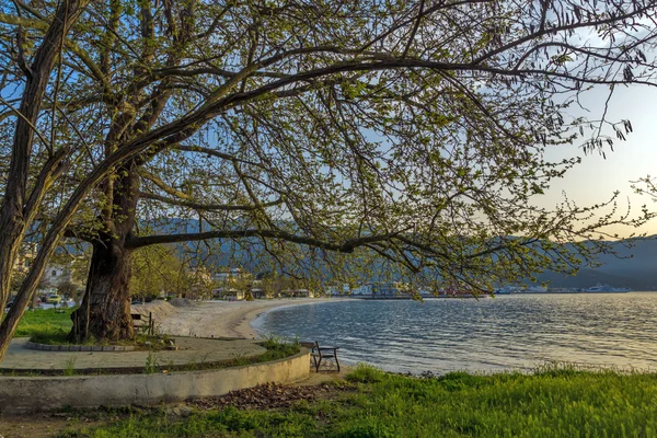 Solnedgången på vallen och träd i Thassos stad, Östra Makedonien och Thrakien — Stockfoto