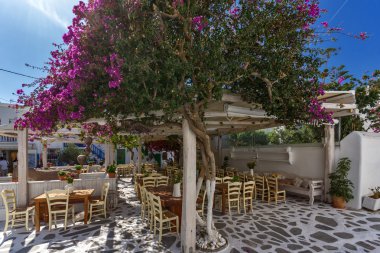 çiçekler ve Mikonos kentine, Cyclades Adaları beyaz evleri