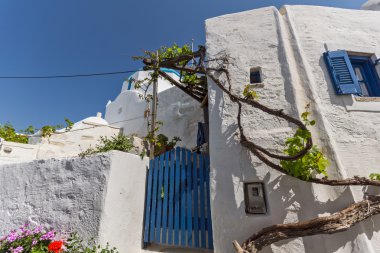 kasaba Parakia, Paros Adası, Cyclades çiçeklerle beyaz evler