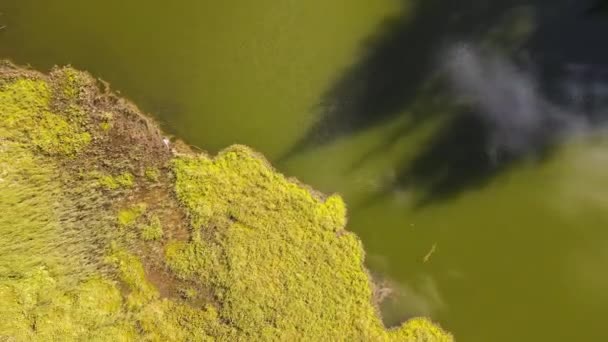 Вид Повітря Озеро Плесень Тревістото Смолян Родопі Смольян Болгарія — стокове відео