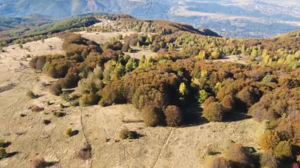 Fantastisk Antenn Hösten Vitosha Mountain Bulgarien — Stockvideo