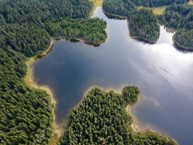 Shiroka polyana (Geniş çayır) Reservoir, Pazardzhik Bölgesi, Bulgaristan