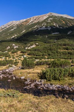 Bulgaristan 'ın Pirin Dağı' ndaki Banderitsa Nehri 'nin sonbahar manzarası