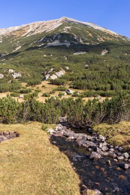 Bulgaristan 'ın Pirin Dağı' ndaki Banderitsa Nehri 'nin sonbahar manzarası