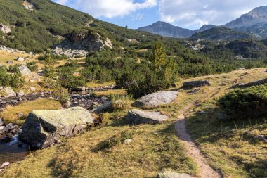 Bulgaristan 'ın Pirin Dağı' ndaki Banderitsa Nehri 'nin sonbahar manzarası