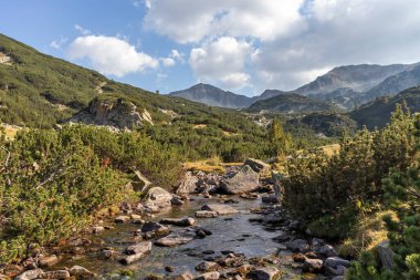 Bulgaristan 'ın Pirin Dağı' ndaki Banderitsa Nehri 'nin sonbahar manzarası