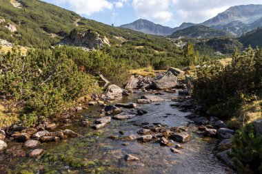 Bulgaristan 'ın Pirin Dağı' ndaki Banderitsa Nehri 'nin sonbahar manzarası
