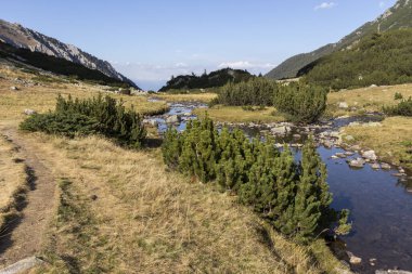 Bulgaristan 'ın Pirin Dağı' ndaki Banderitsa Nehri 'nin sonbahar manzarası