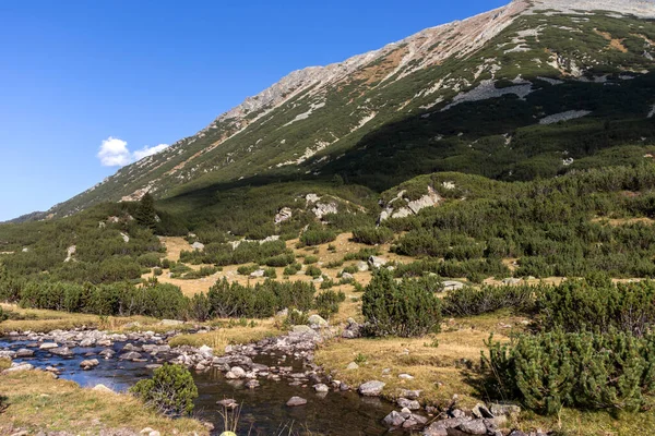 Lanskap Musim Gugur Sungai Banderitsa Pirin Mountain Bulgaria — Stok Foto