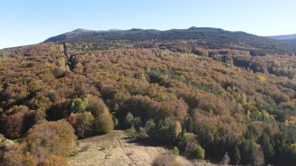 Bulgaristan Sofya Kenti Yakınlarındaki Vitosha Nın Havadan Sonbahar Manzarası — Stok video