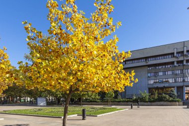 RUSE, BULGARIA -NOVEMBER 2, 2020: Bulgaristan 'ın Ruse kentinin merkezindeki belediye binası