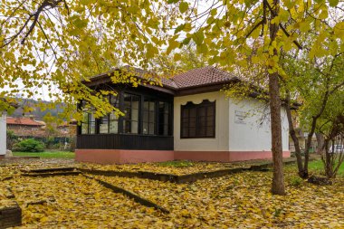 MONTANA, BULGARIA - 22 Kasım 2020: Bulgaristan 'ın Montana kentinin merkezindeki Hristo Mihaylov Müzesi