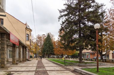 MONTANA, BULGARIA - 22 Kasım 2020: Bulgaristan 'ın Montana kentinin merkezindeki tipik bina ve cadde