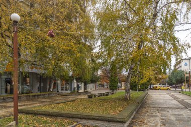 MONTANA, BULGARIA - 22 Kasım 2020: Bulgaristan 'ın Montana kentinin merkezindeki tipik bina ve cadde