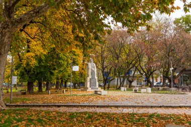 MONTANA, BULGARIA - 22 Kasım 2020: Bulgaristan 'ın Montana kentinin merkezindeki tipik bina ve cadde