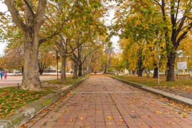 MONTANA, BULGARIA - 22 Kasım 2020: Bulgaristan 'ın Montana kentinin merkezindeki tipik bina ve cadde