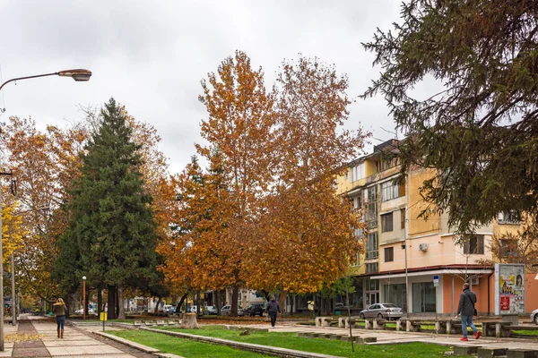 Montana Bulgaria Kasım 2020 Bulgaristan Montana Kentinin Merkezindeki Tipik Bina — Stok fotoğraf