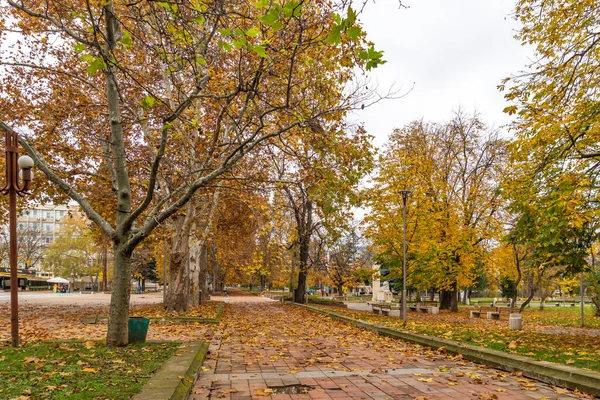 Montana Bulgaria Noviembre 2020 Edificio Típico Calle Centro Ciudad Montana — Foto de Stock