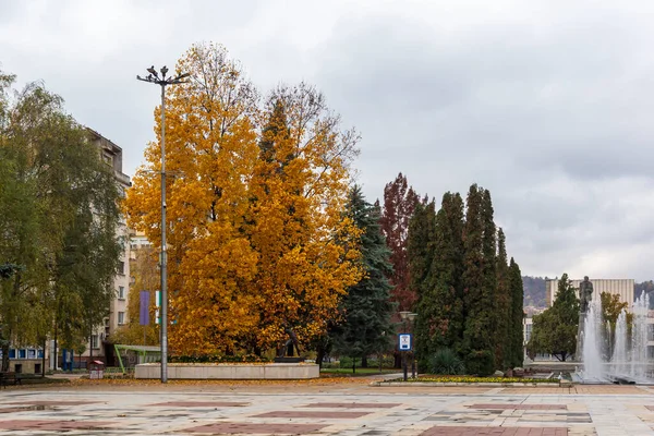 Montana Bulgarien November 2020 Typisk Byggnad Och Gata Centrum Staden — Stockfoto