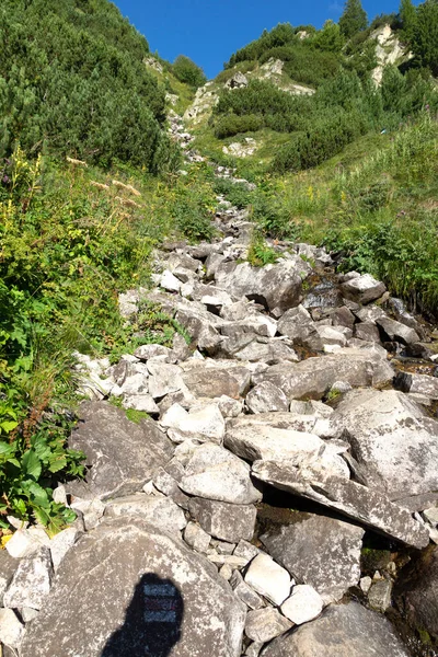 Landscape Hiking Trail Vihren Peak Pirin Mountain Bulgaria — Stock Photo, Image