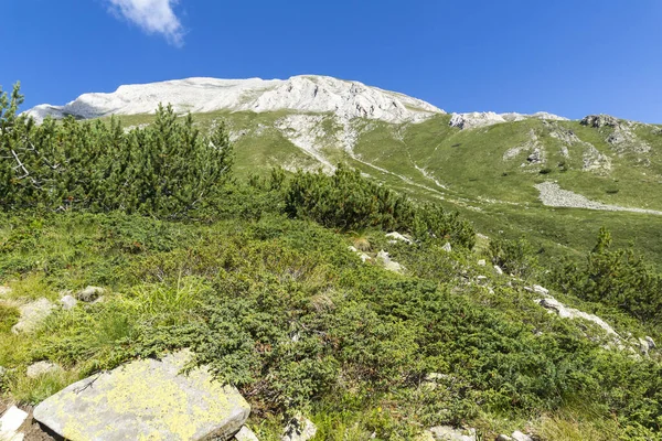 Amazing Landscape Vihren Peak Pirin Mountain Bulgaria — Stock Photo, Image