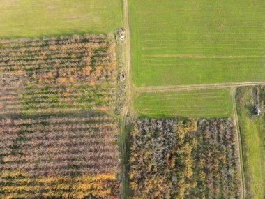 Bulgaristan 'ın Filibe Bölgesi' nin Tsalapitsa köyü yakınlarındaki Yukarı Trakya Ovası 'nın hava manzarası